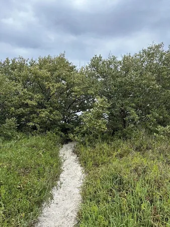 $1,975 | 1680 Asturias Street, St. Augustine, FL 32080