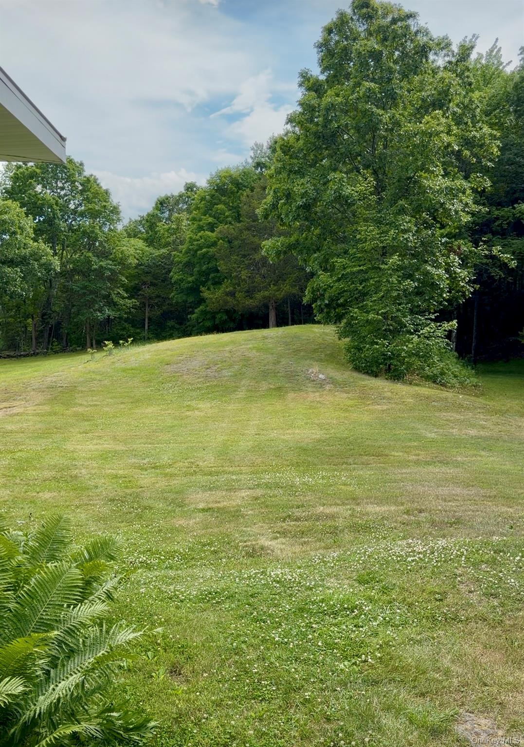 91-97 Sawmill Road Red Hook, NY 12571 - Photo 9 of 11 a view of an ocean from a yard