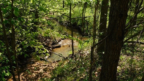 0 Lee's Ridge Road Martinsville, VA 24112 - Photo 10 of 26 Gallery Image 10
