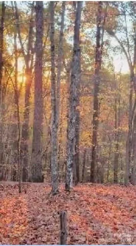 a view of outside space and a yard