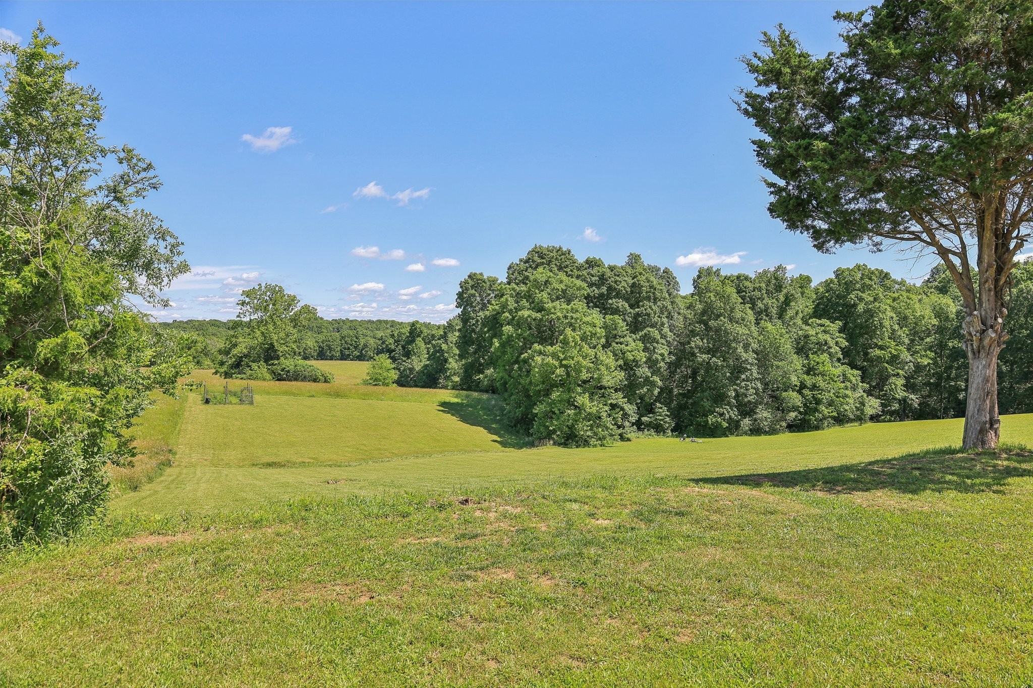 1219 Oak Grove Road Dickson, TN 37055 - Photo 3 of 52 a view of a lake with a yard