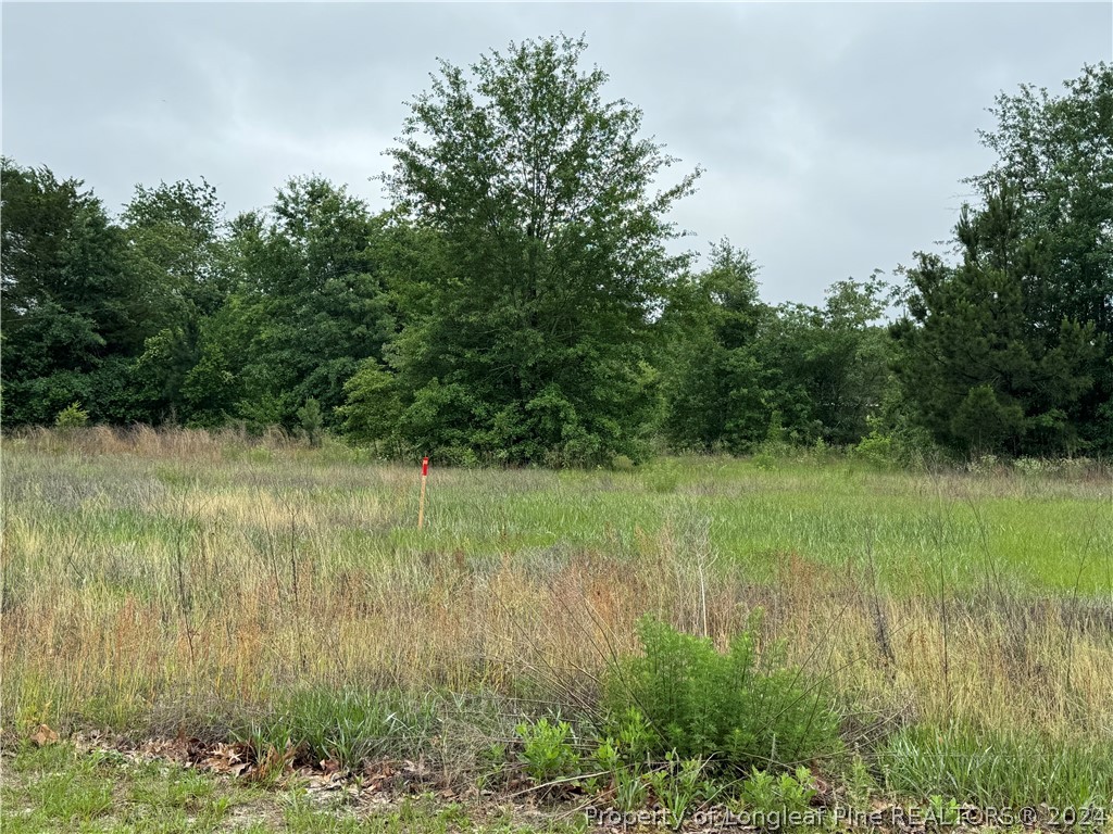 6227 Rockfish Road Hope Mills, NC 28348 - Photo 4 of 6 Gallery Image 4