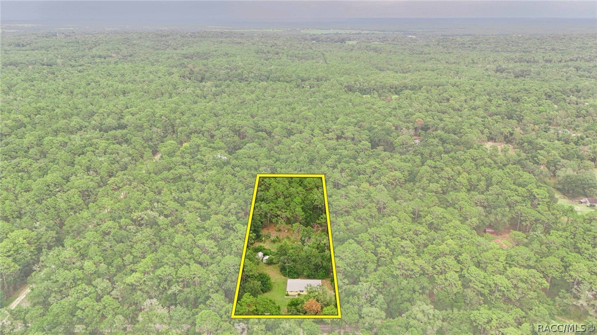 9955 South Forestline Avenue Inverness, FL 34452 - Photo 37 of 47