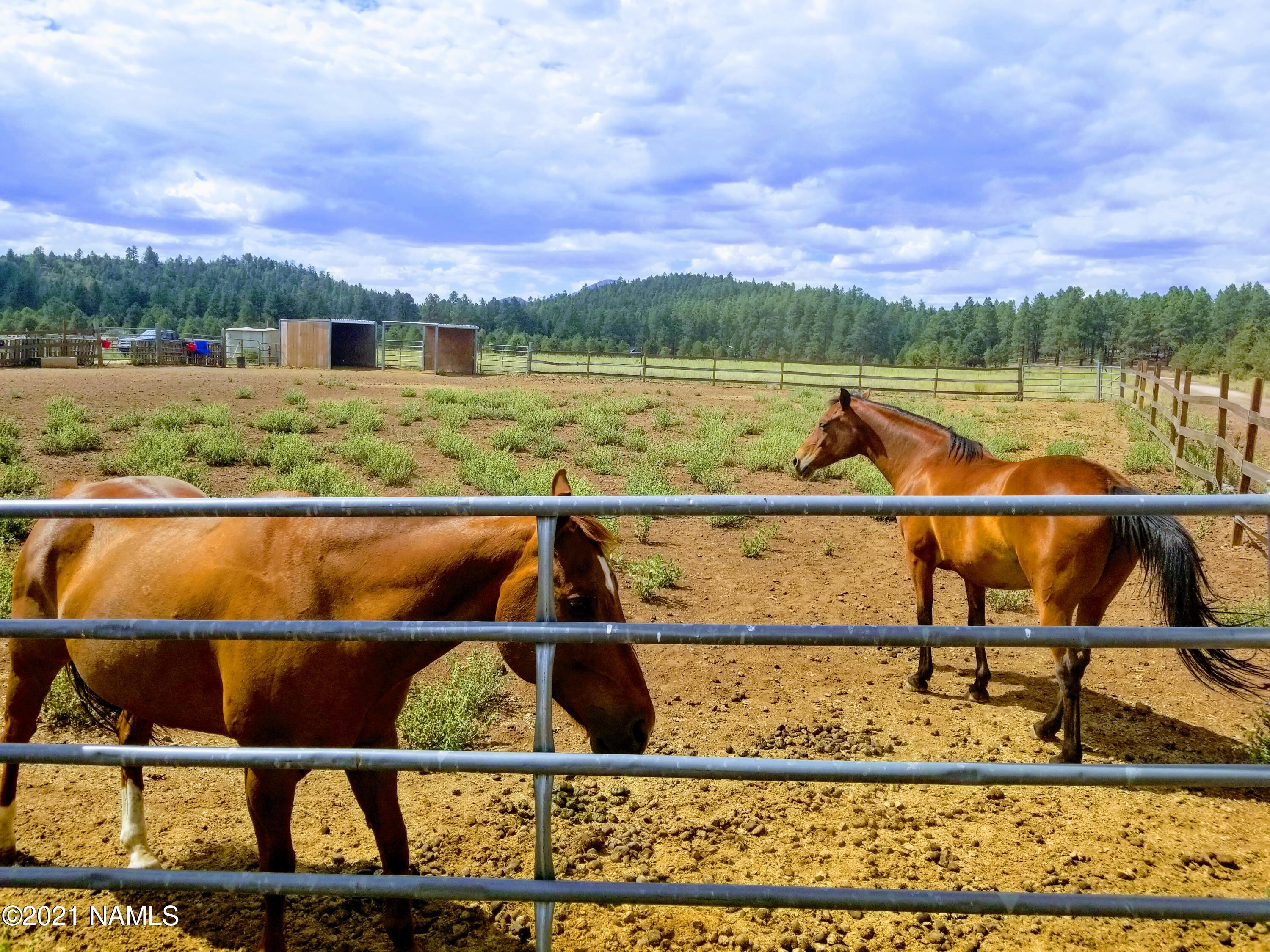 12297 East Old Rte 66 Parks, AZ 86018 - Photo 12 of 50 20210706_151031