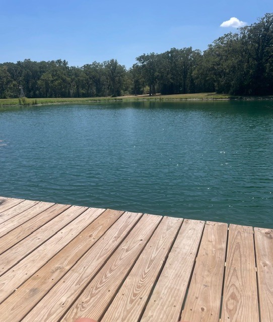 6811 Mockingbird Road Flatonia, TX 78941 - Photo 26 of 32