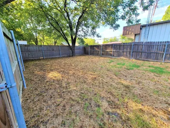 a view of backyard with tree