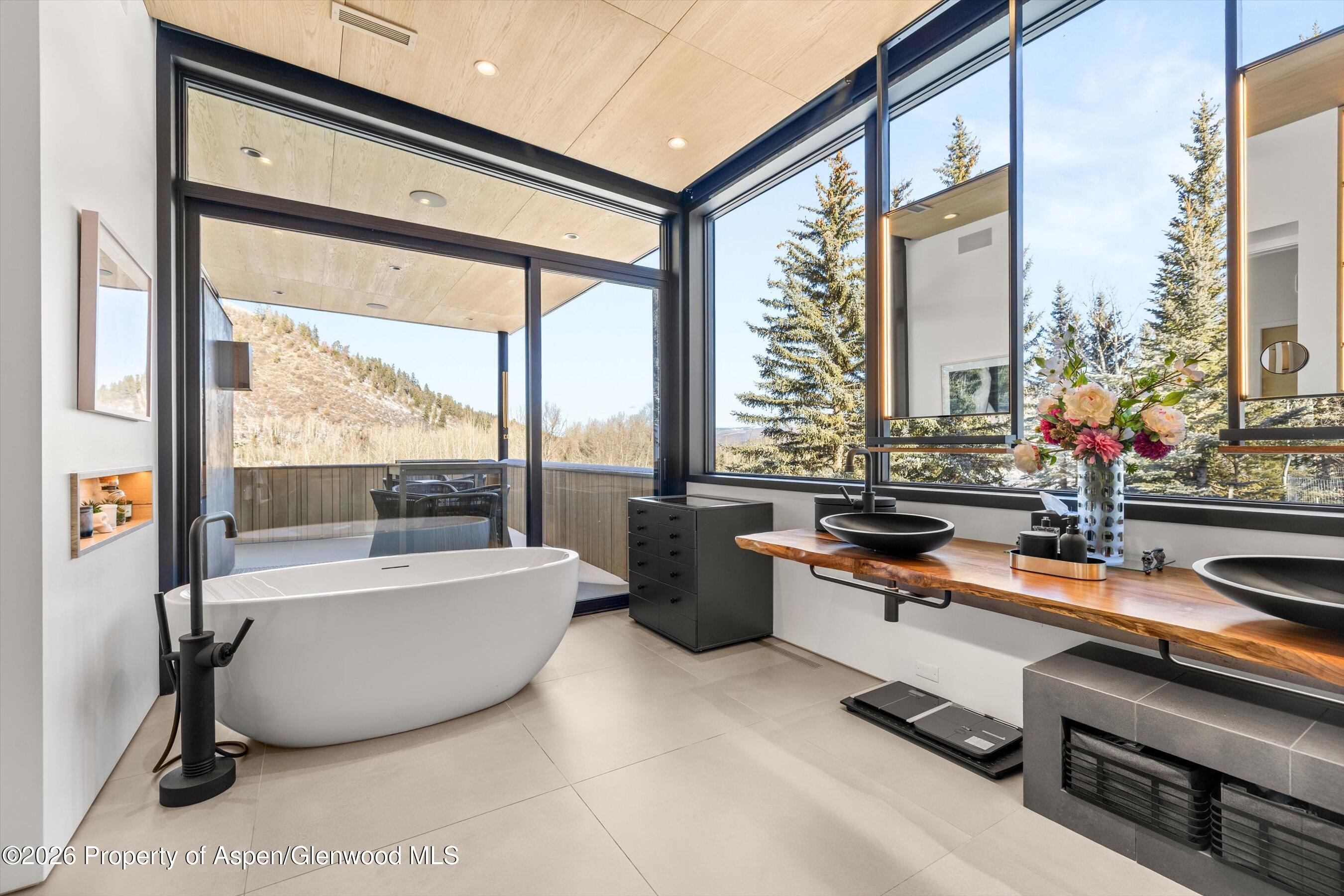 296 Glen Dee Road Aspen, CO 81611 - Photo 18 of 59 20-296GlenDeeRd_2601_2601