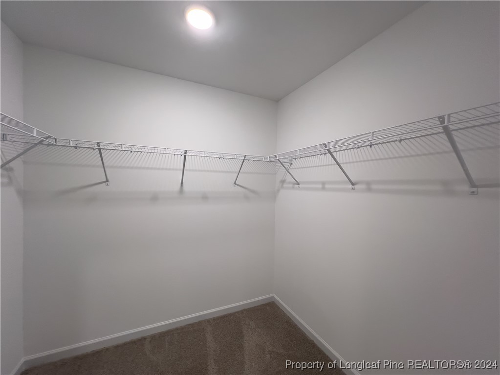 5005 Blue Springs Road Red Springs, NC 28377 - Photo 17 of 28 Gallery Image 17