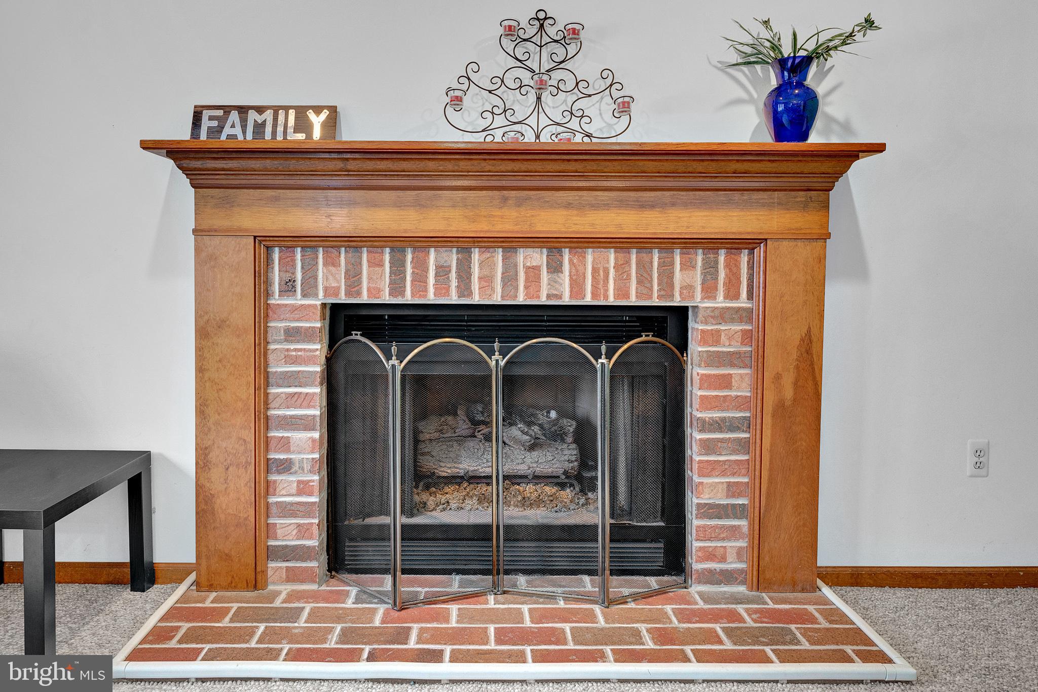 115 Robin Drive Hamilton, NJ 08619 - Photo 22 of 56 Traditional family room fireplace, gas