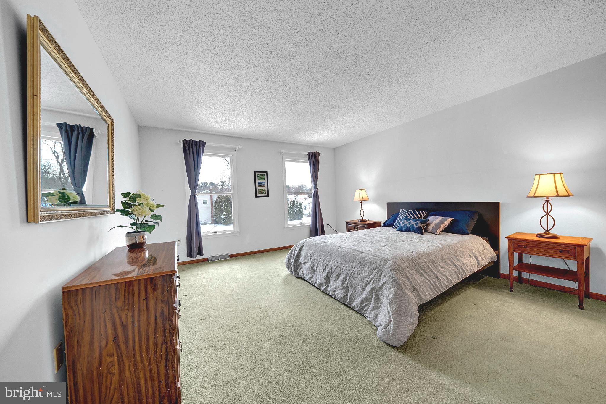 115 Robin Drive Hamilton, NJ 08619 - Photo 30 of 56 Primary expansive bedroom from entry way