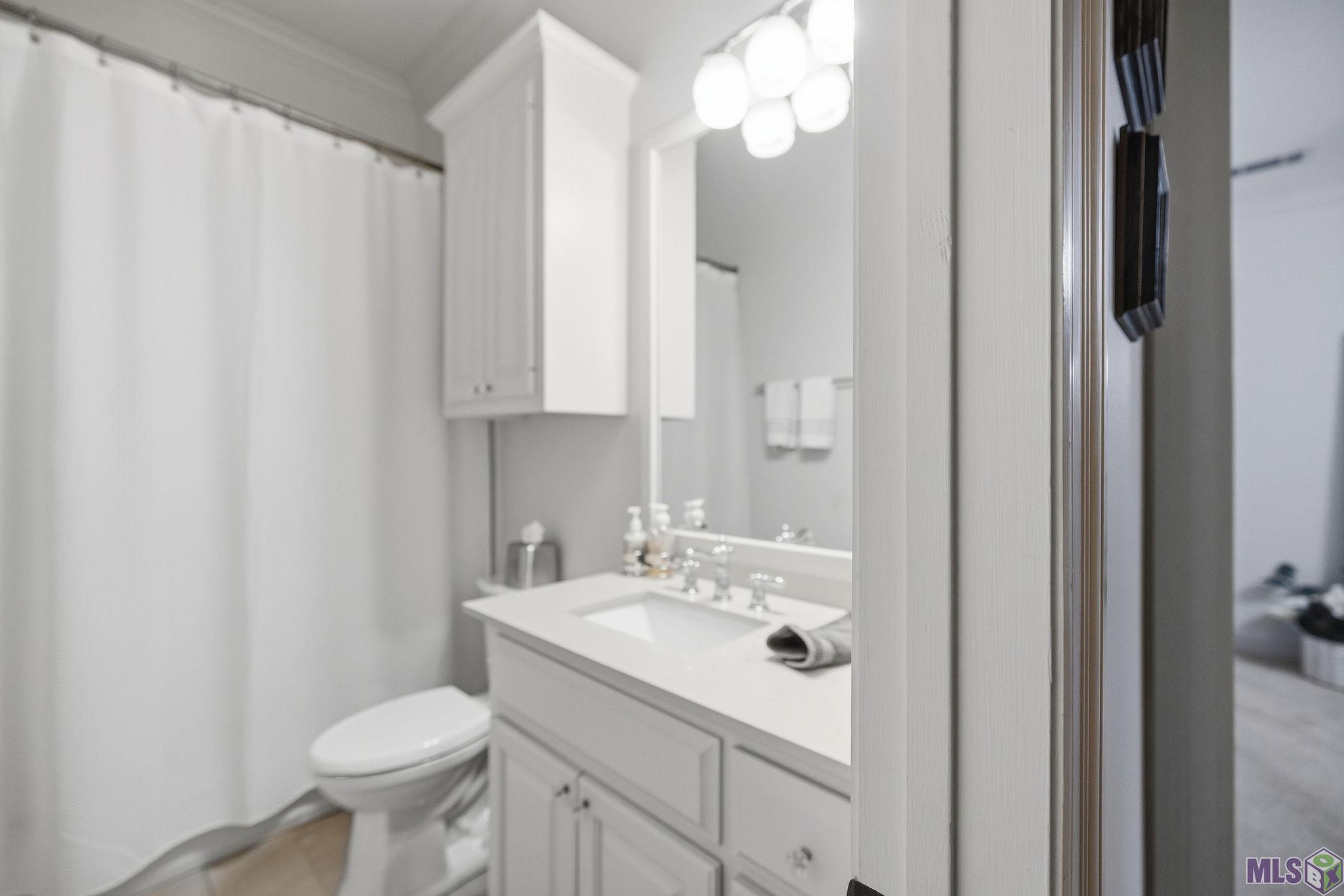 19173 Hickory Bay Court Baton Rouge, LA 70817 - Photo 29 of 47