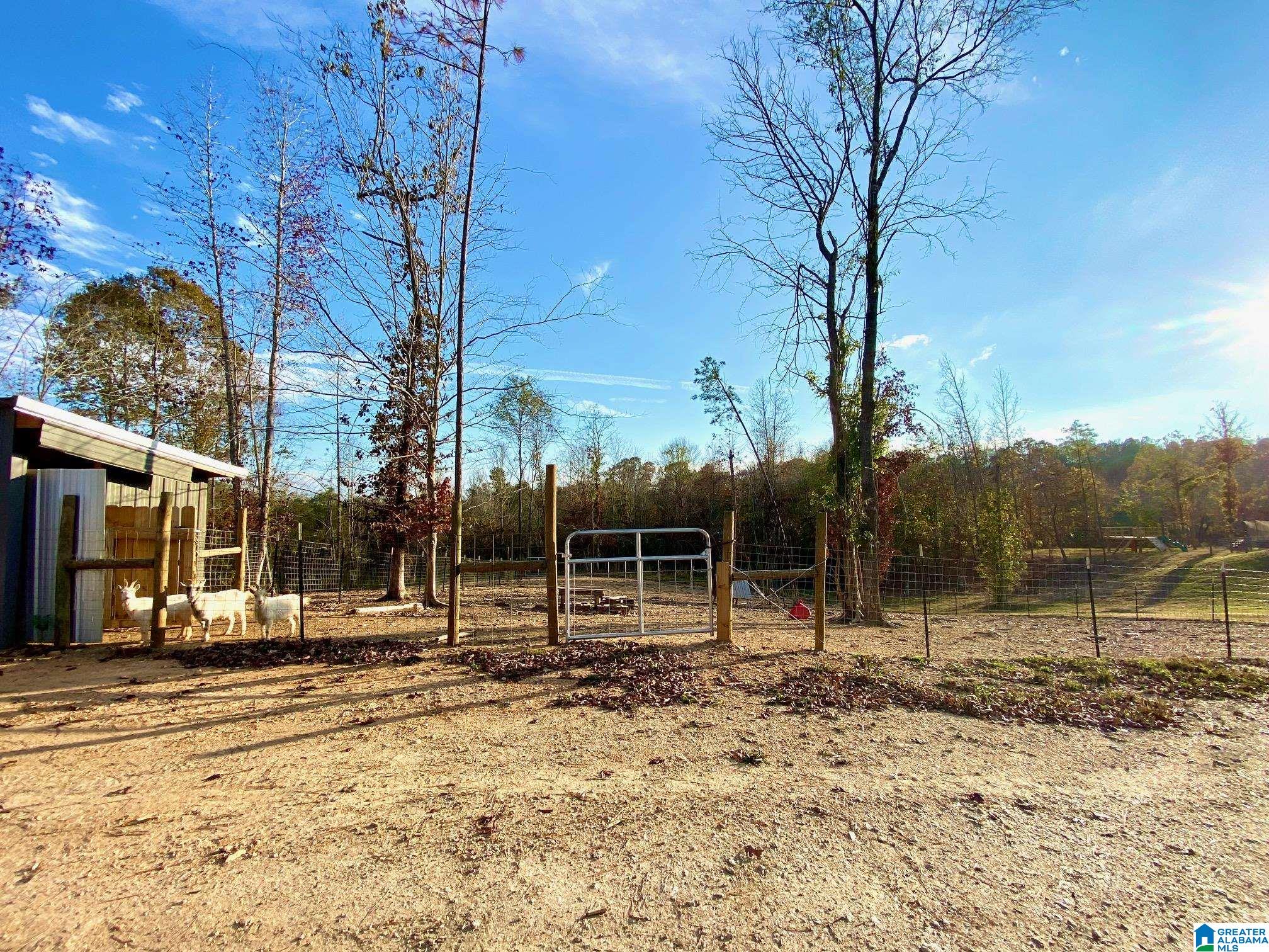 325 County Road 13 Heflin, AL 36264 - Photo 32 of 56