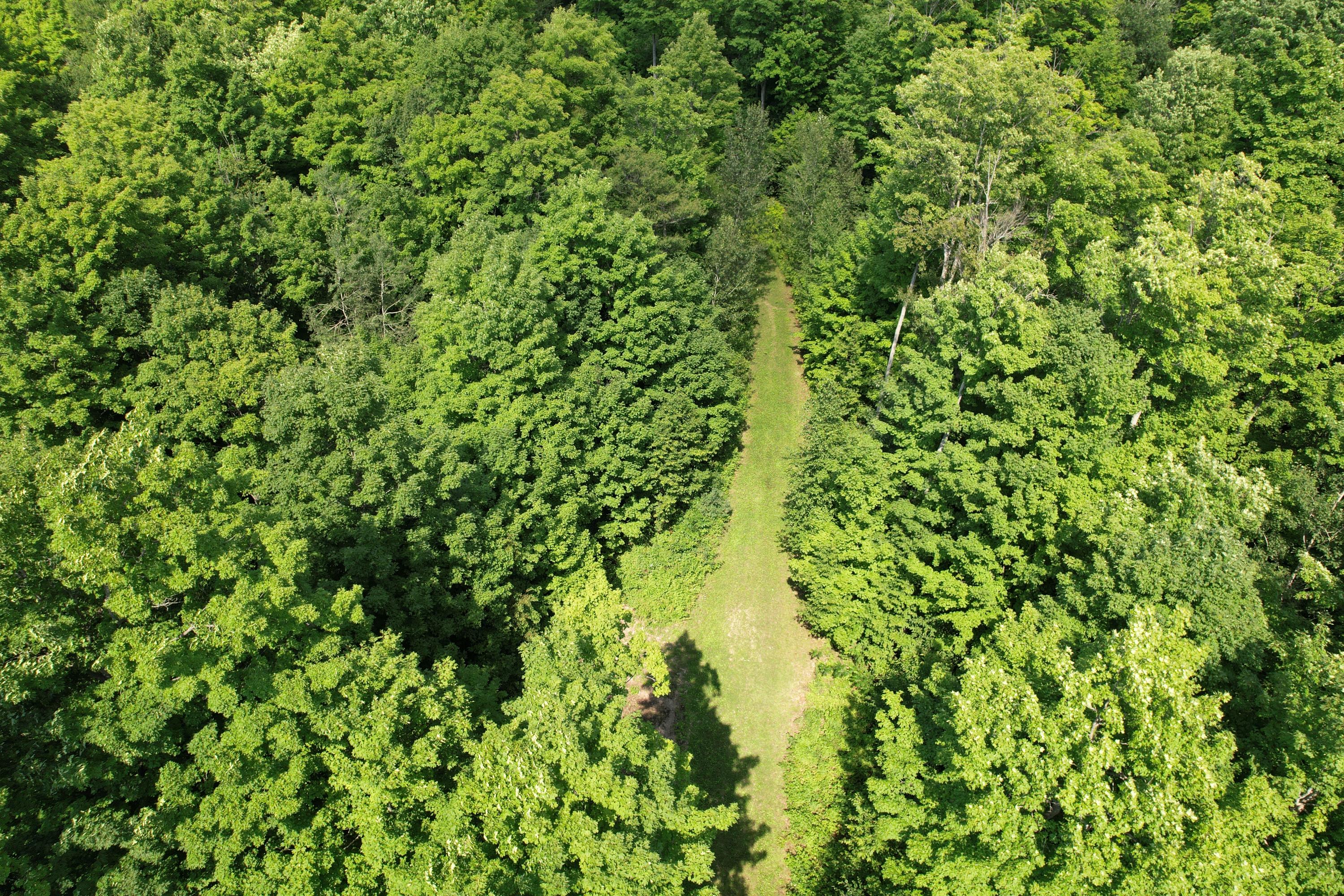 Piper Lane Frederic, MI 49733 - Photo 11 of 25 Gallery Image 11