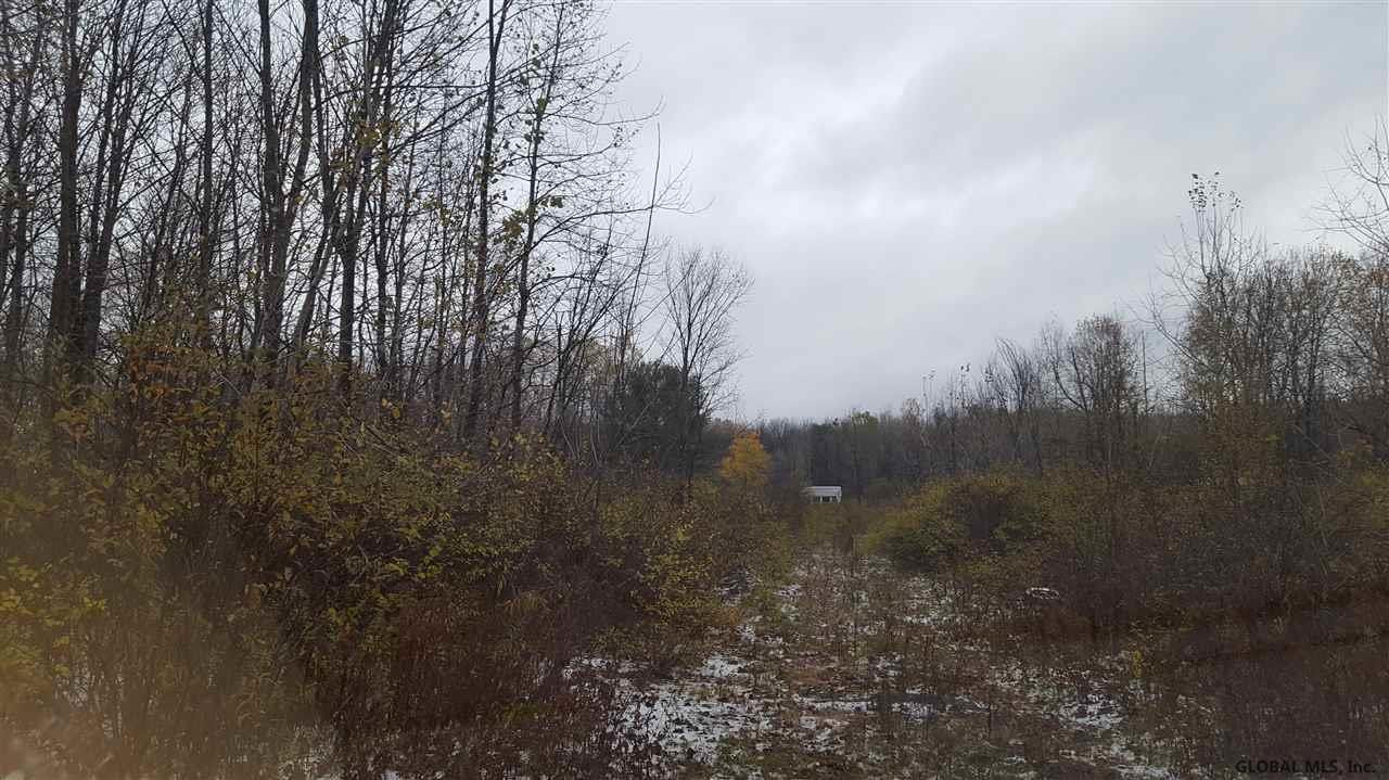 2256 Thousand Acres Road Delanson, NY 12053 - Photo 1 of 6 Photo 1