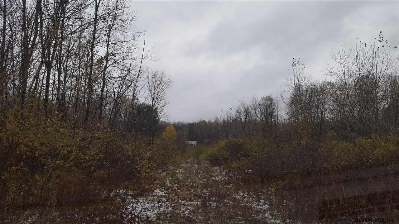 2256 Thousand Acres Road Delanson, NY 12053 - Photo 2 of 6 Photo 2