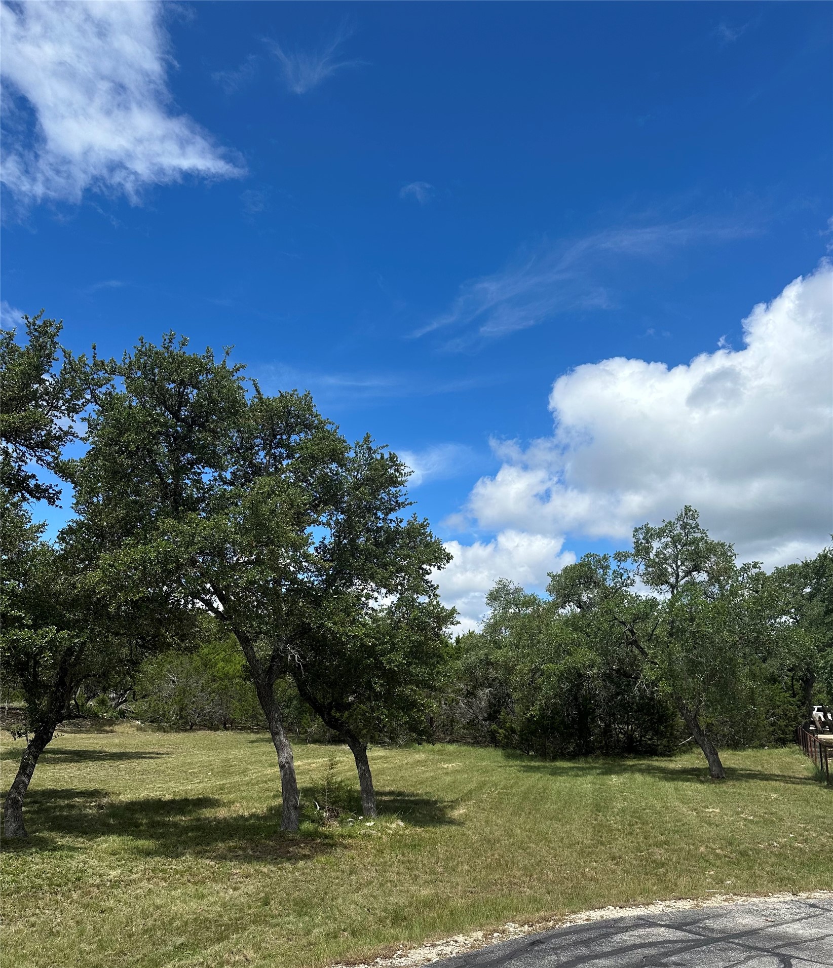 0 Lantana Gold Spring Branch, TX 78070 - Photo 5 of 15 A spacious, verdant lot awaits your vision, bordered by mature trees under an expansive sky.