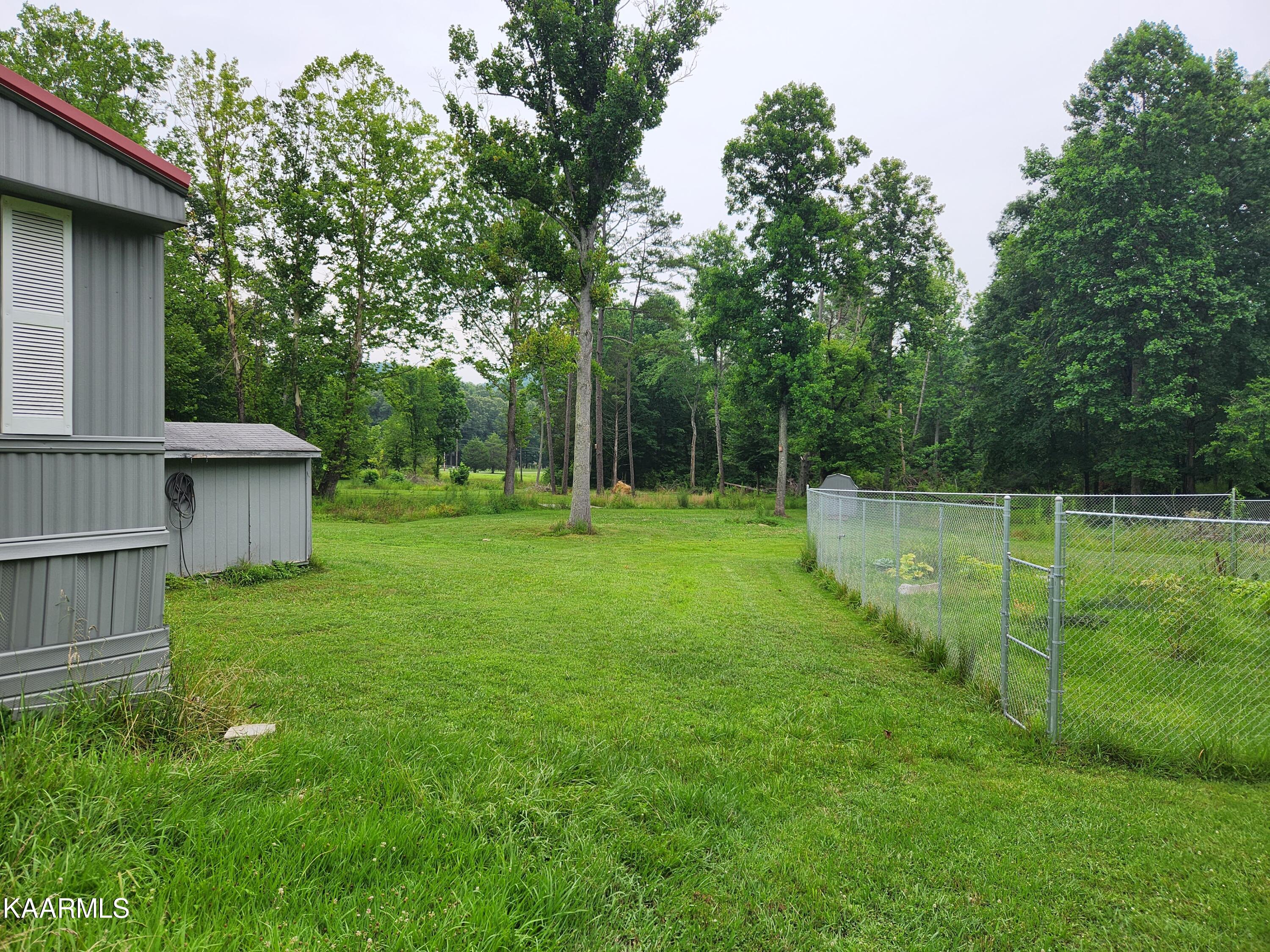 362 Raccoon Valley Road Powell, TN 37849 - Photo 11 of 16 side yard