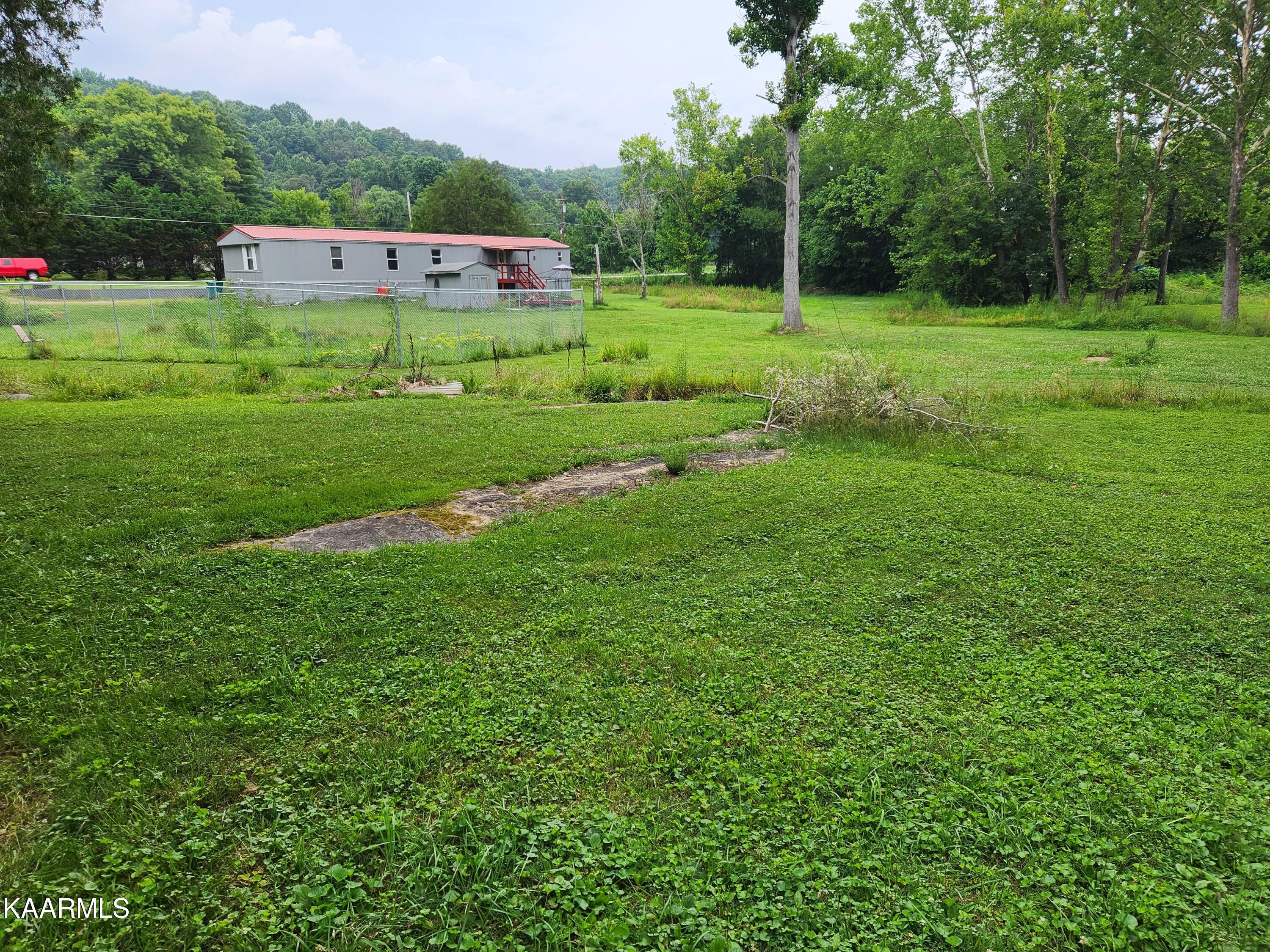 362 Raccoon Valley Road Powell, TN 37849 - Photo 12 of 16 yard