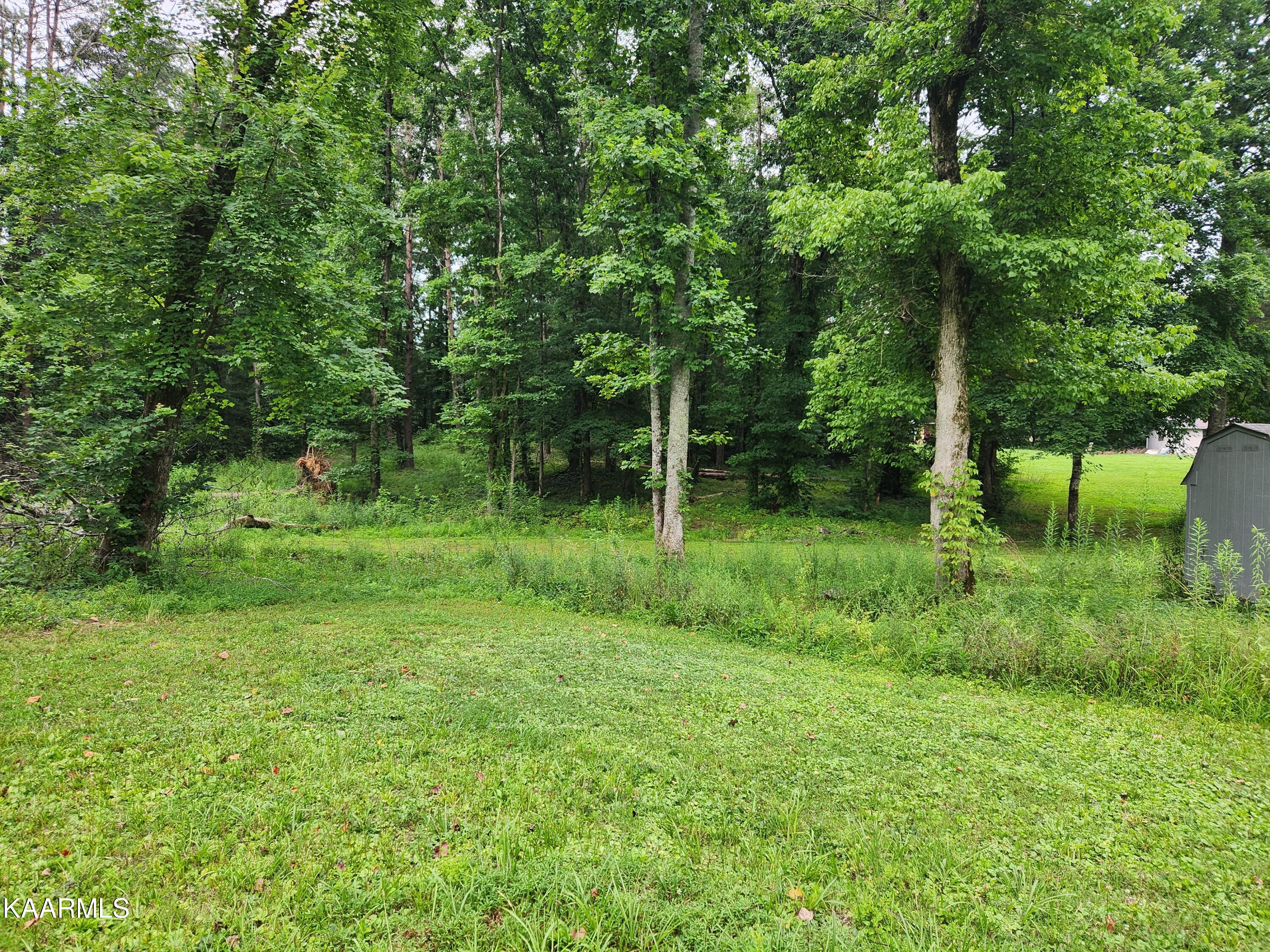 362 Raccoon Valley Road Powell, TN 37849 - Photo 13 of 16 yard