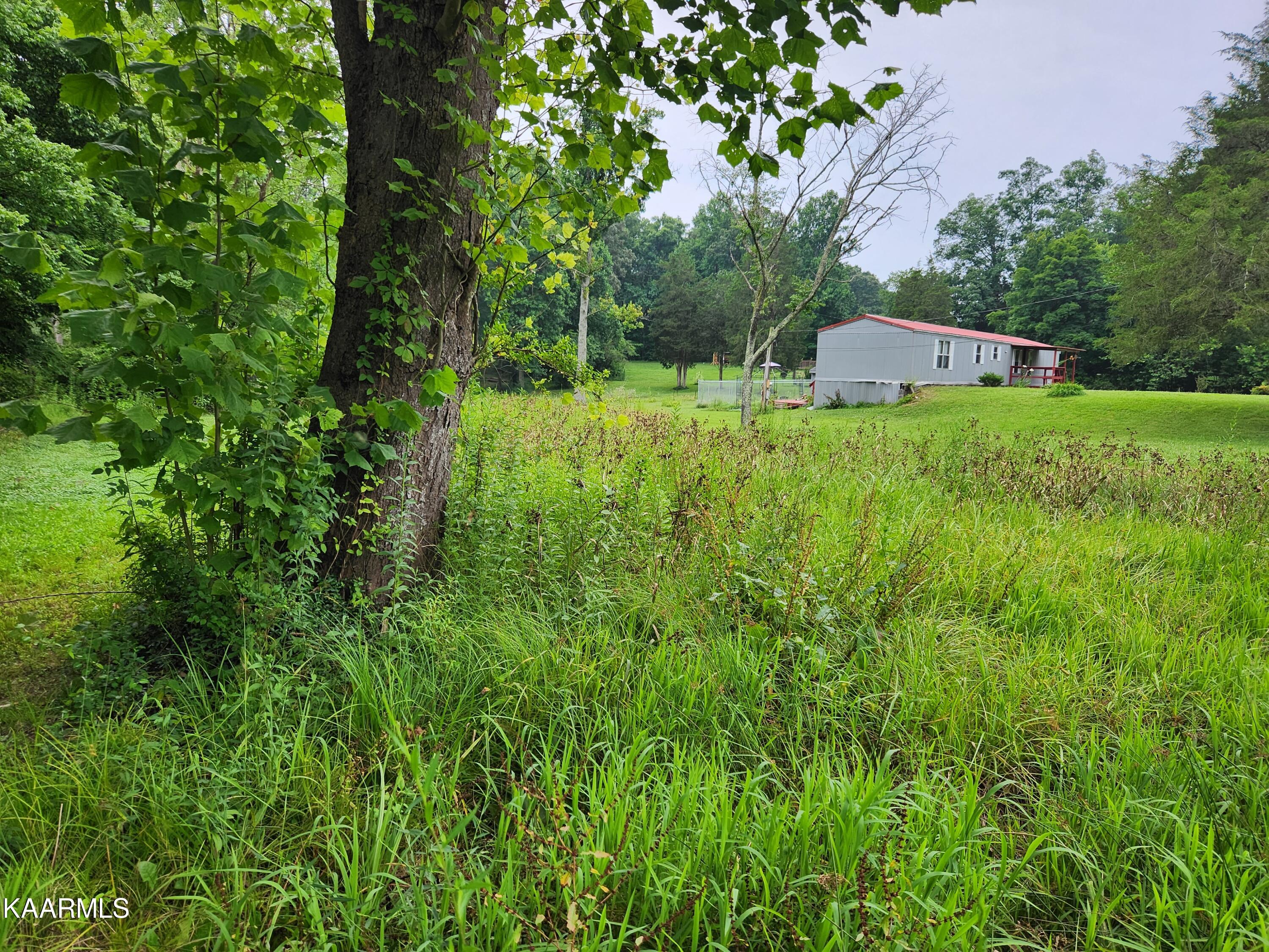 362 Raccoon Valley Road Powell, TN 37849 - Photo 14 of 16 yard