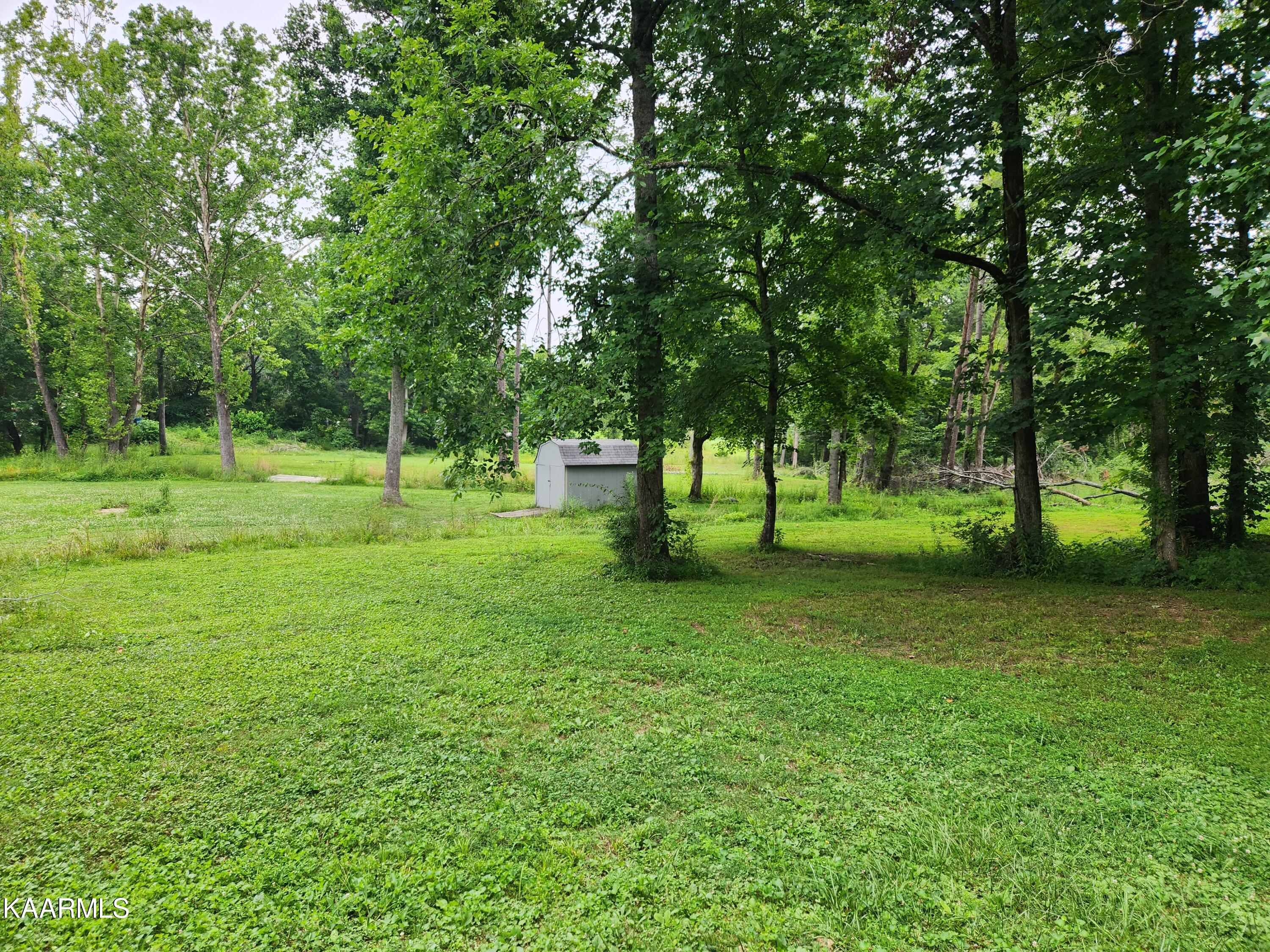 362 Raccoon Valley Road Powell, TN 37849 - Photo 15 of 16 yard