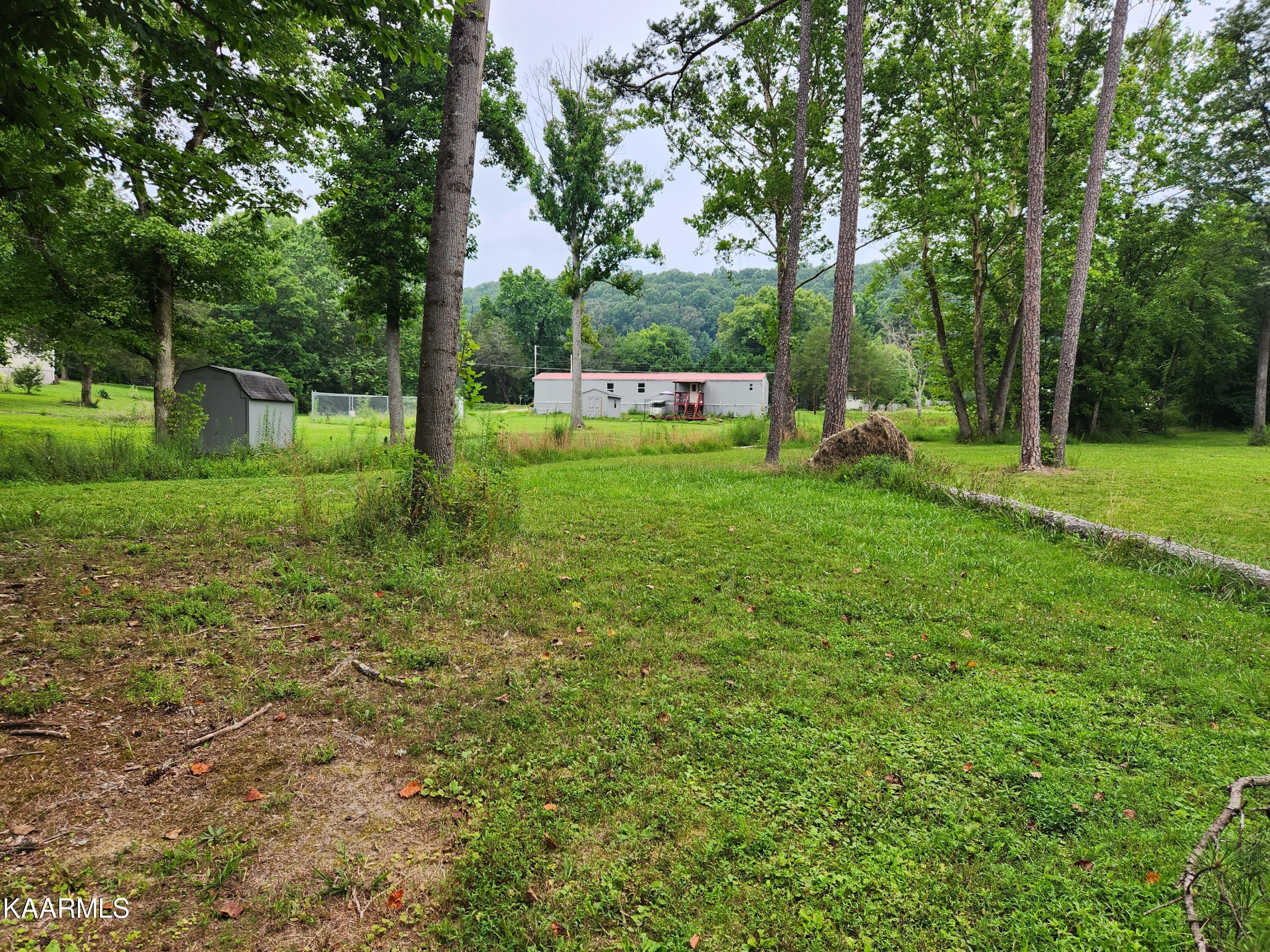 362 Raccoon Valley Road Powell, TN 37849 - Photo 16 of 16 yard