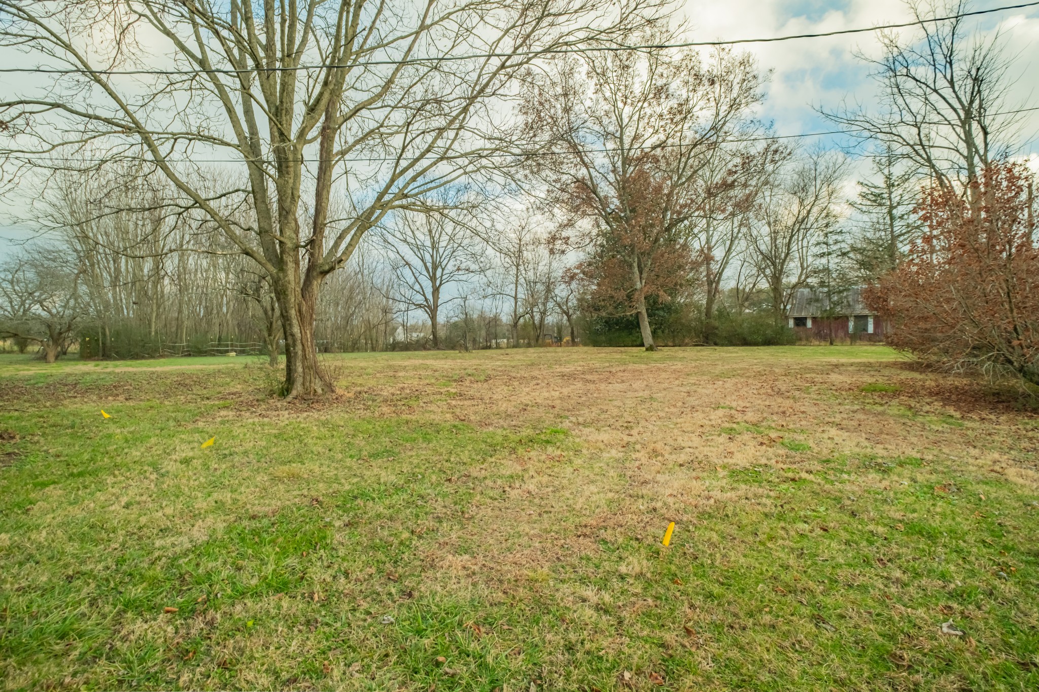 3324 Fredonia Road Manchester, TN 37355 - Photo 6 of 42 a view of a field with trees in the background