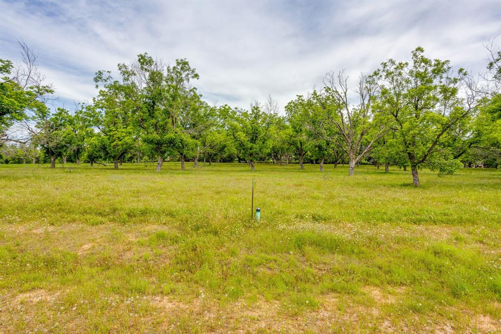 1000 West Landings Road North Granbury, TX 76049 - Photo 16 of 20