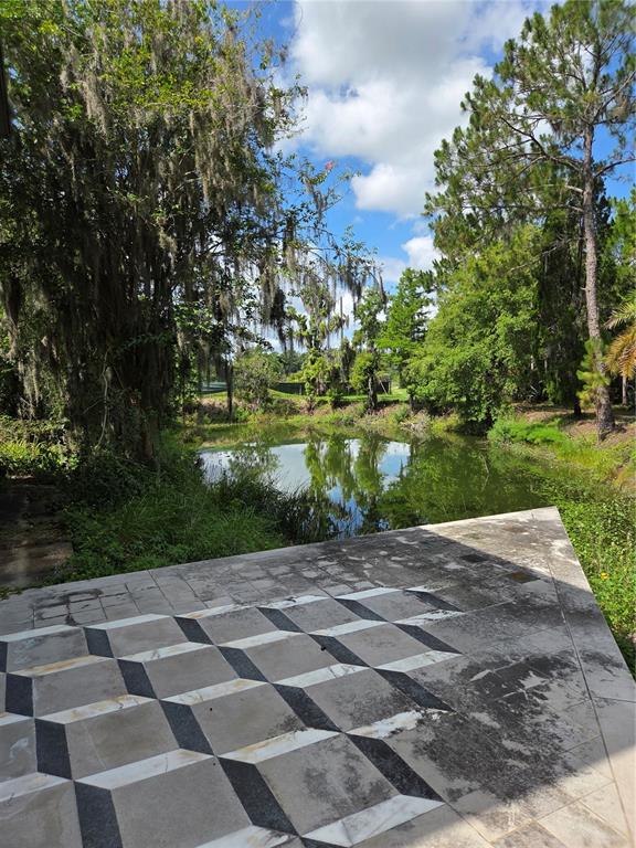 1822 Branch Forbes Road Plant City, FL 33565 - Photo 46 of 47 Gallery Image 46
