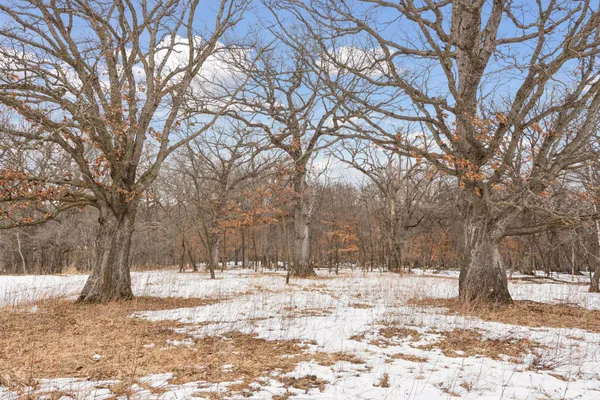 $1,300,000 | 771 Zumbro Oaks Lane Northwest, Oronoco, MN 55960