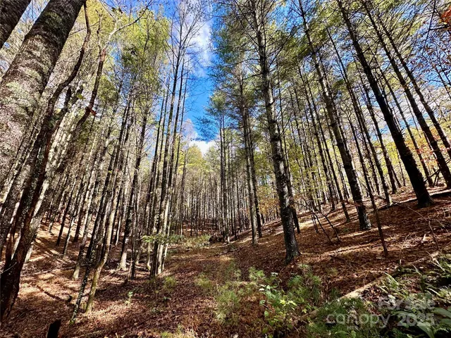 a view of outdoor space with sitting area