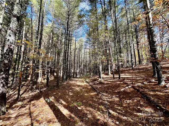 a view of outdoor space with street view