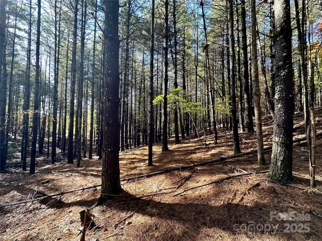 a view of outdoor space with deck and trees