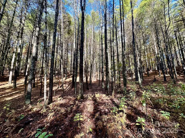 a view of backyard space