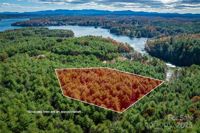 an aerial view of a garden with a lake view