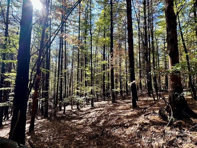 a view of outdoor space with trees
