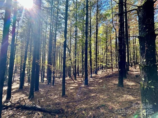 a view of park with trees