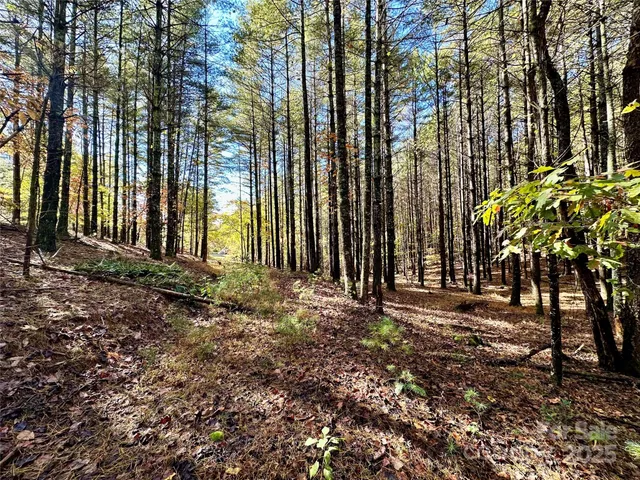 a view of outdoor space with trees