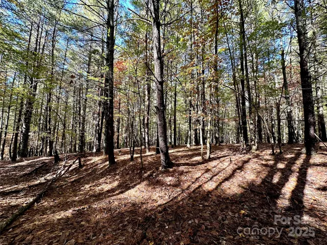 a view of city and mountain