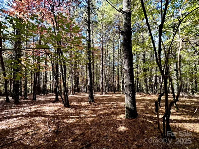 a view of mountain with sunset in background