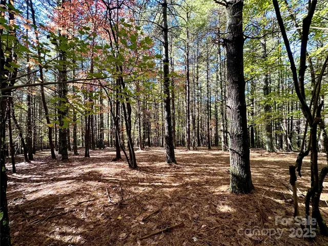 a view of a lush green forest with a house in the background