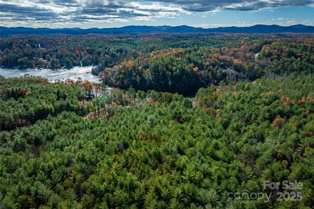 a view of a lush green forest with trees and some houses