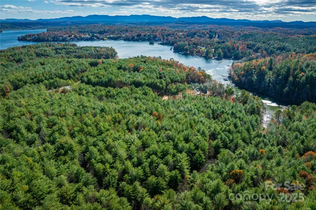 a view of a lake with a city