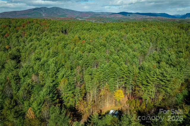 a view of swimming pool with a yard
