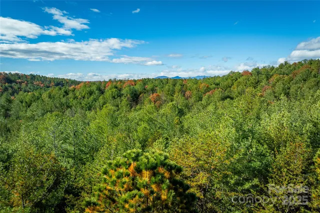 a view of outdoor space with trees