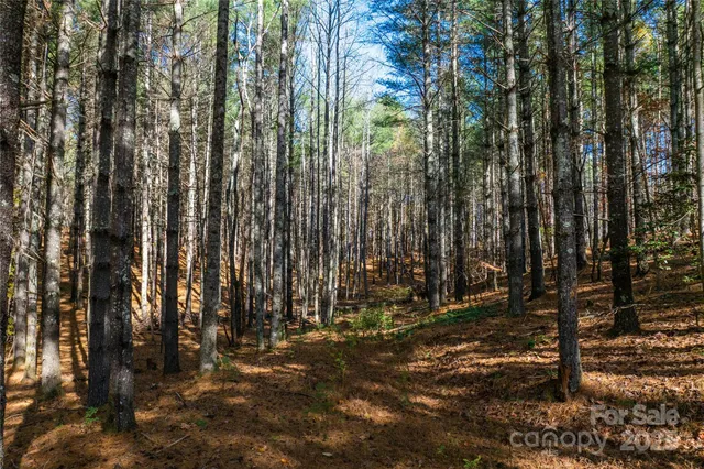 a view of swimming pool with outdoor seating