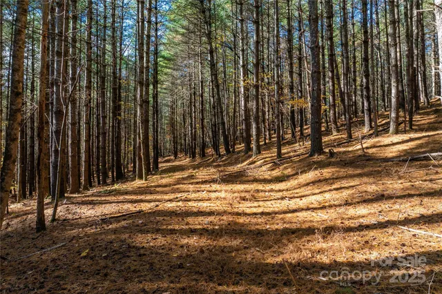 a view of outdoor space with street view