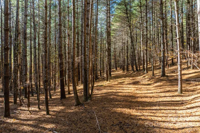 $299,000 | 146 Bream Flats Drive., Unit 40, Nebo, NC 28761