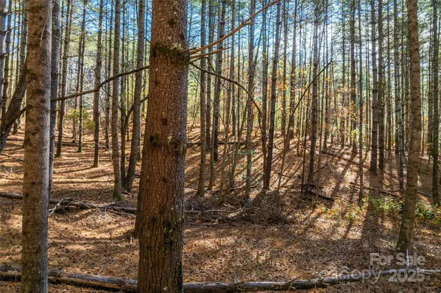 $299,000 | 146 Bream Flats Drive., Unit 40, Nebo, NC 28761