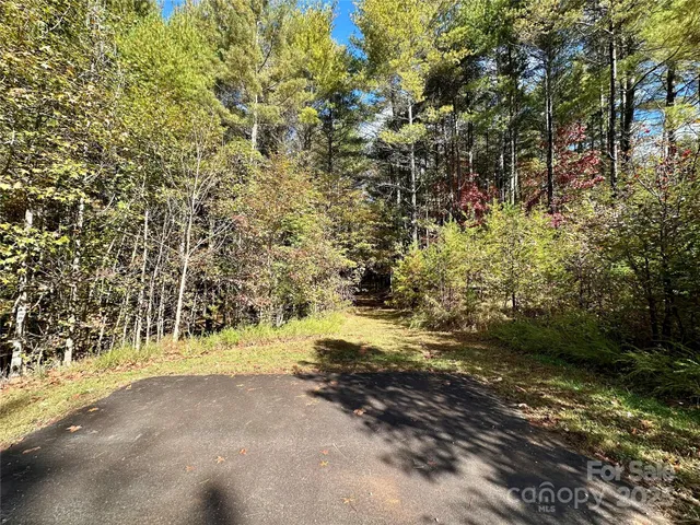 a view of back yard of the building
